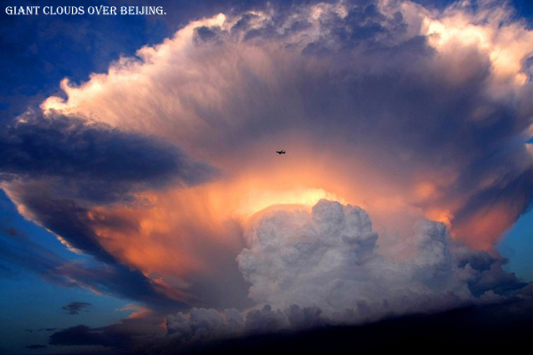 12 Craziest Things in Nature